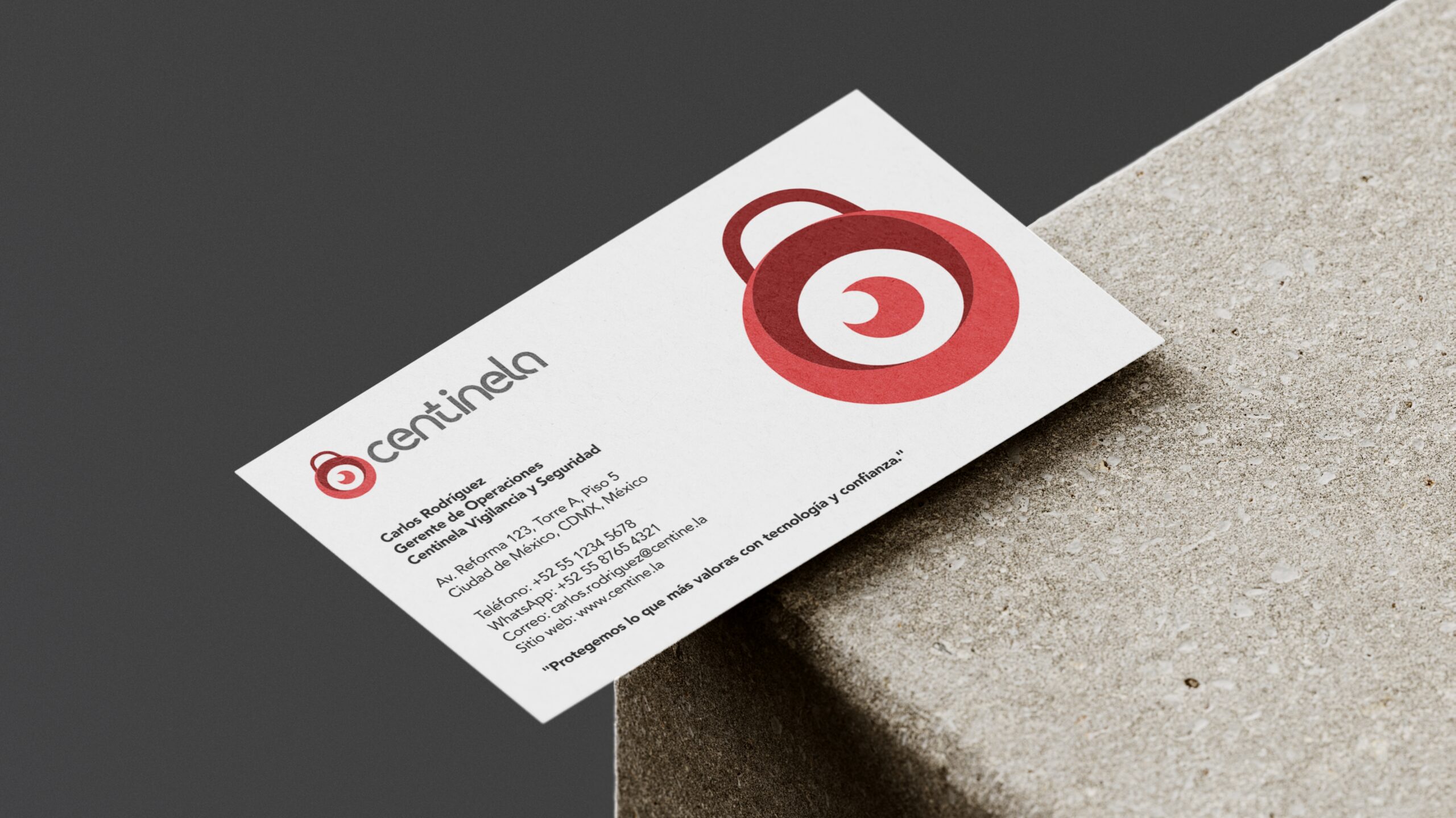 Manual_de_Identidad_Centinela_page-003