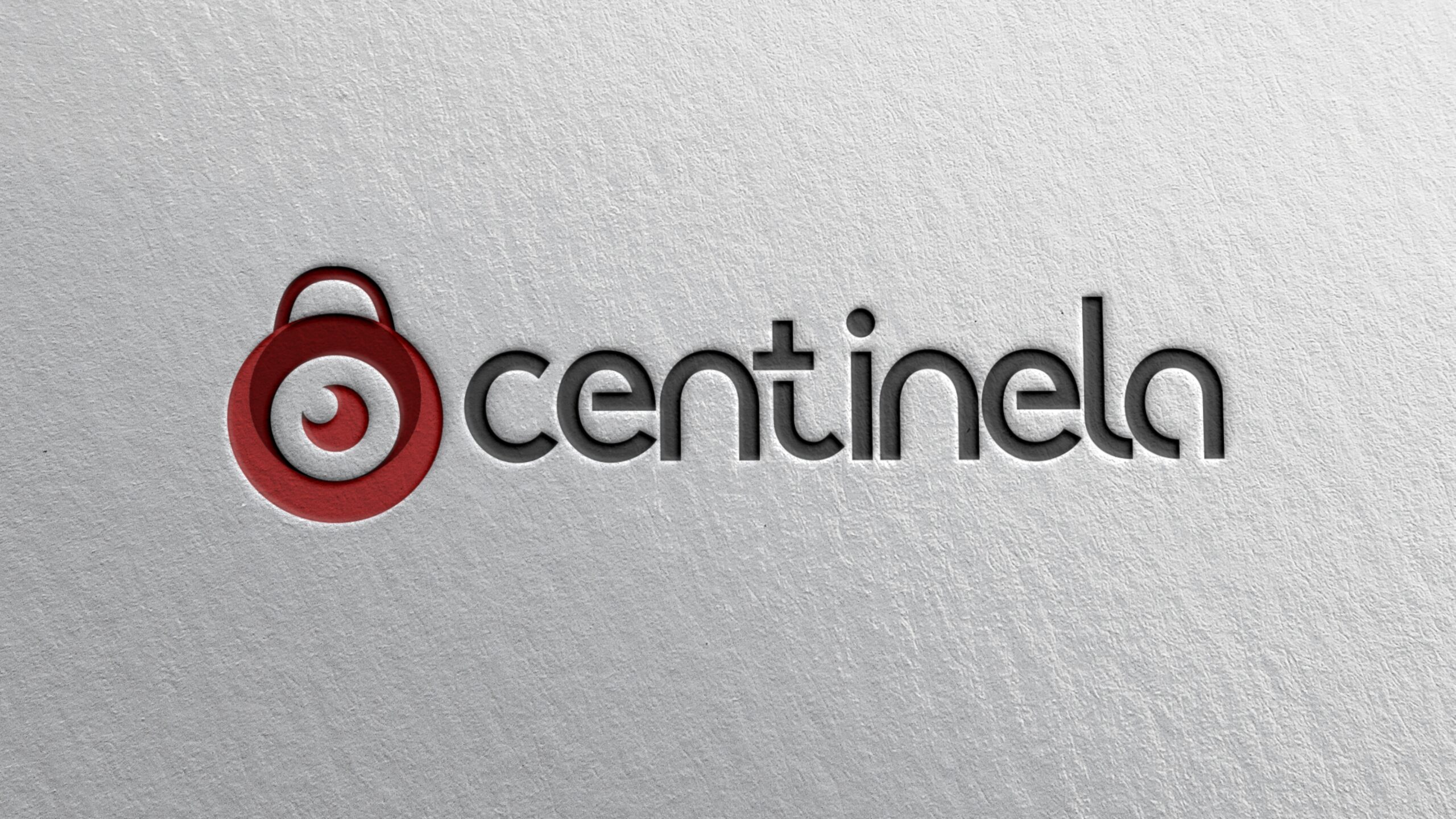 Manual_de_Identidad_Centinela_page-005
