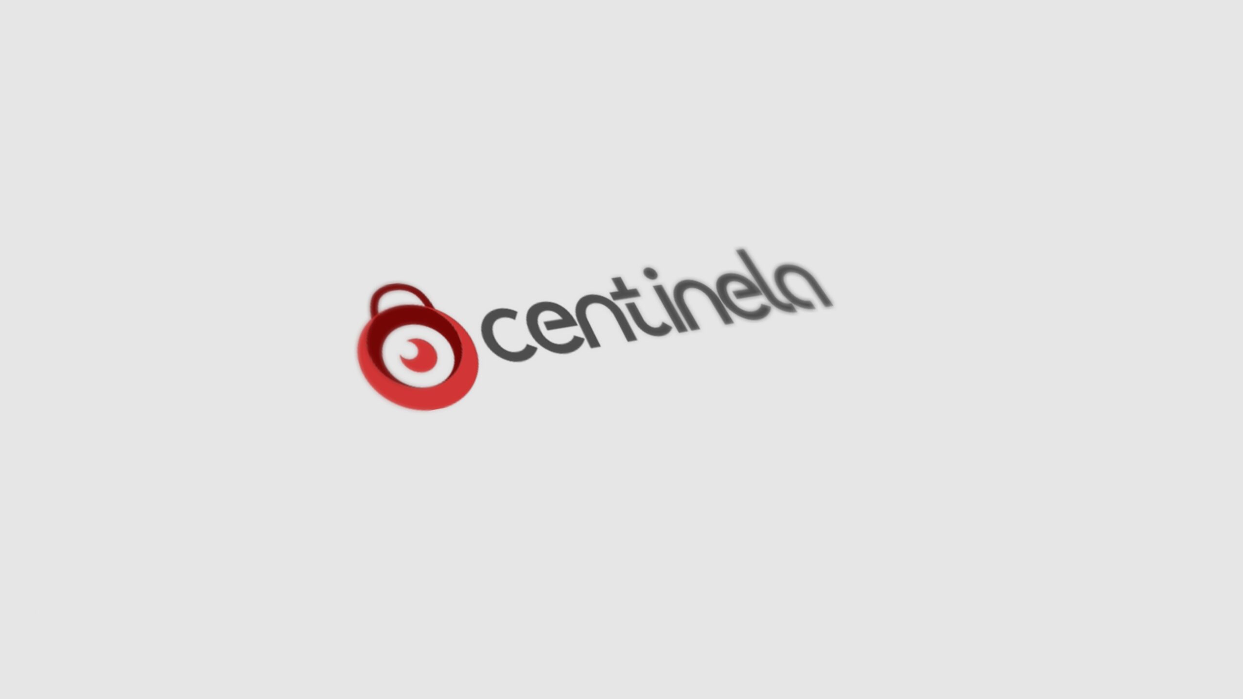 Manual_de_Identidad_Centinela_page-006