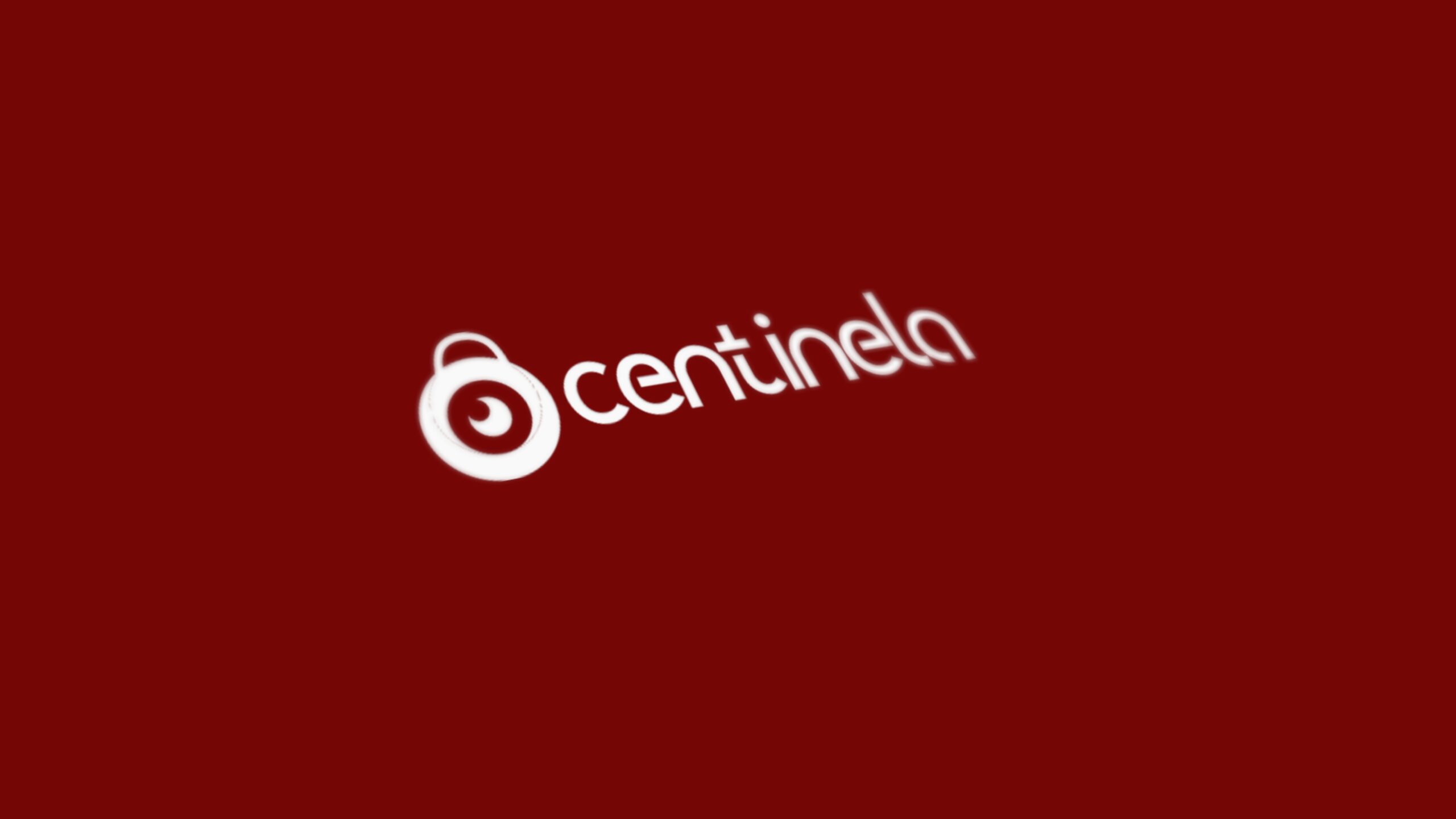 Manual_de_Identidad_Centinela_page-007