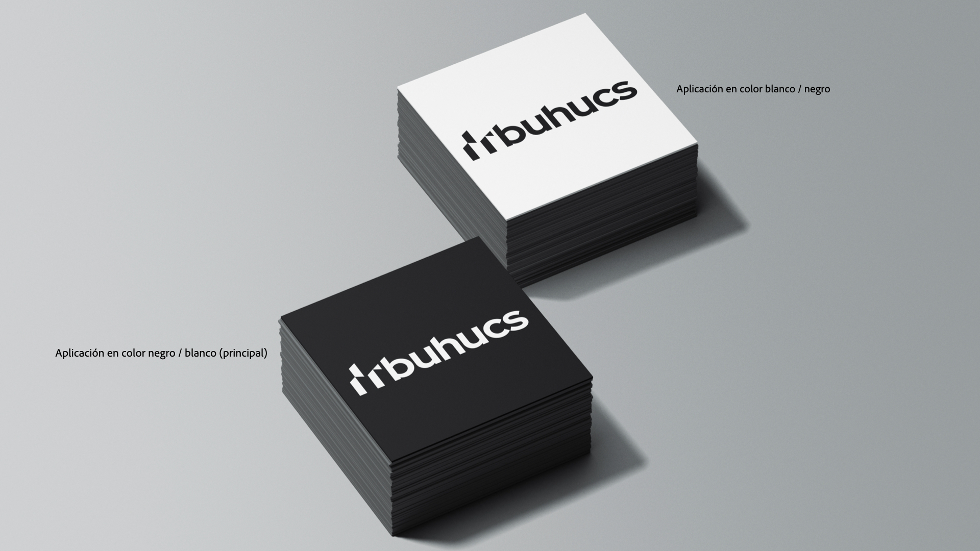 Buhucs.003