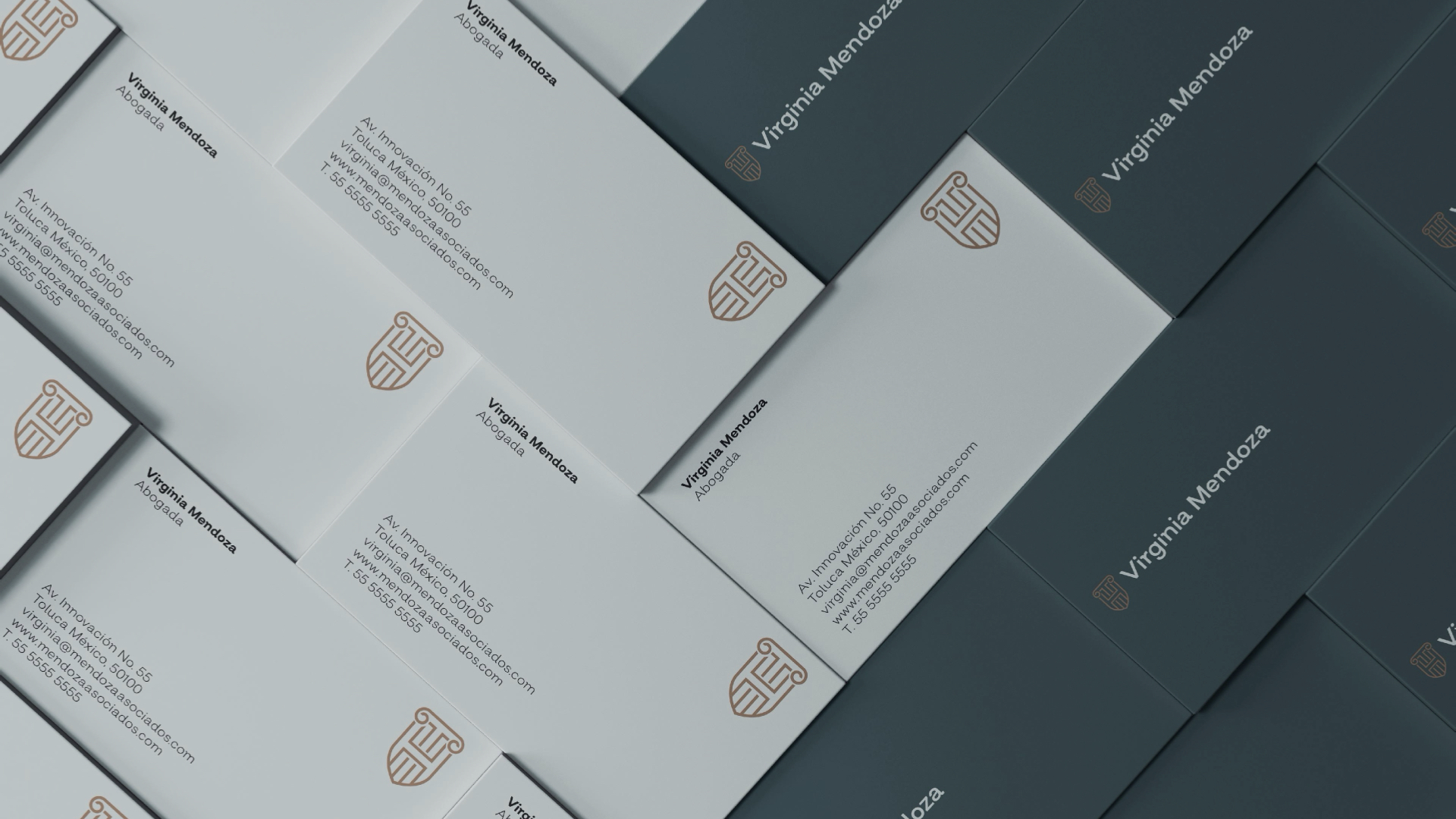 Virginia Mendoza - Identidad Corporativa.006